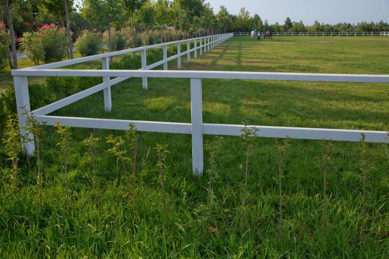 Horse Fence Replacement